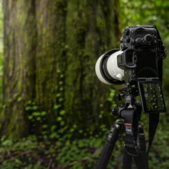 Aparat foto mirrorless SONY A7R5, 61MP, 8K, Wi-Fi, AI procesor, Body, negru - imagine 7
