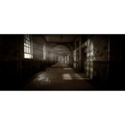 The Inpatient pentru Playstation 4 - imagine 3