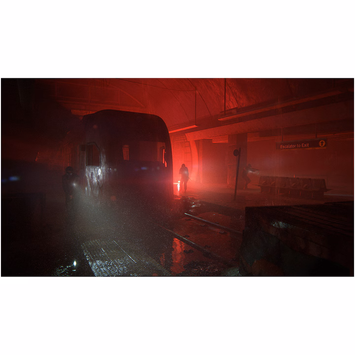 The Last of Us Part II pentru PlayStation 4 - imagine 9