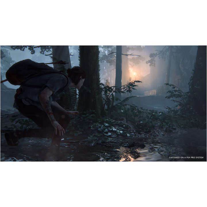 The Last of Us Part II pentru PlayStation 4 - imagine 5