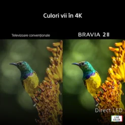 Televizor Sony BRAVIA 2 II LED 50S25M2, 126 cm, Smart Google TV, 4K Ultra HD, Clasa E (Model 2026) - imagine 8