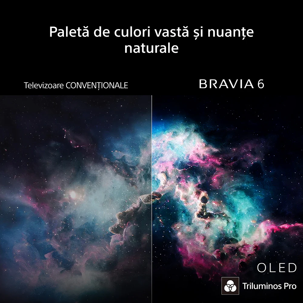 Televizor OLED Smart SONY BRAVIA 6 65A65, Ultra HD 4K, HDR, 164cm - imagine 21